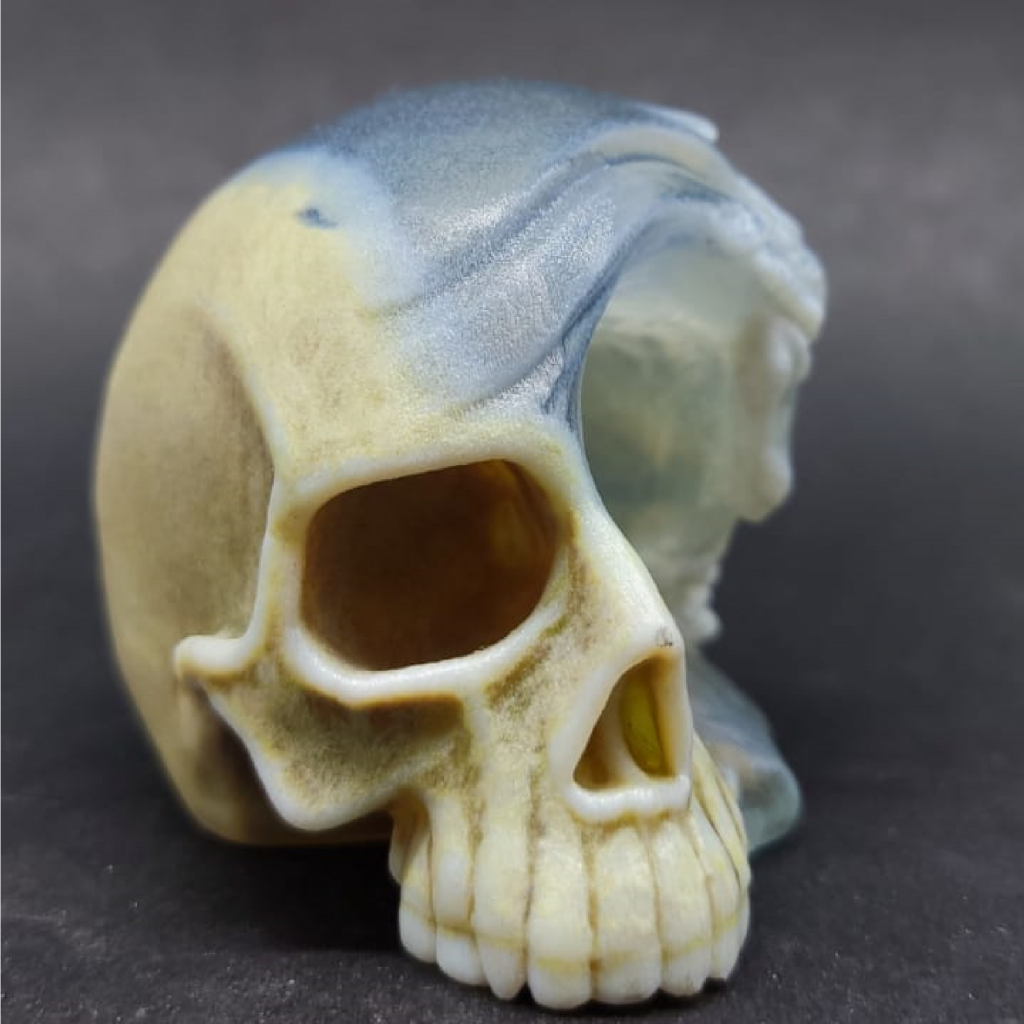Marine skull